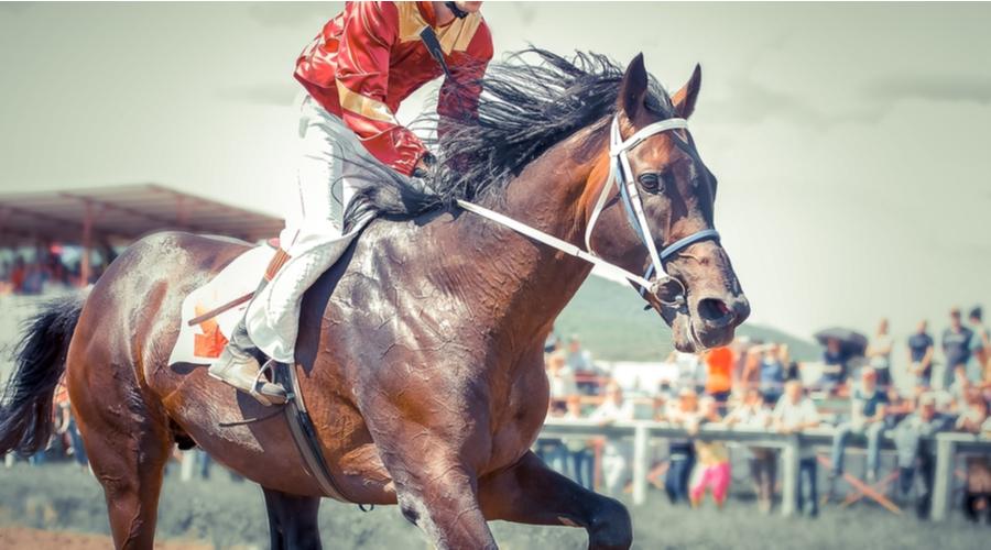 Kentucky Derby is Coming Up! How to Celebrate