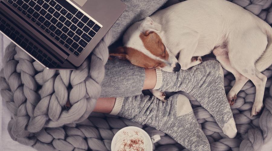 5 Things You Need For a Cozy Night In